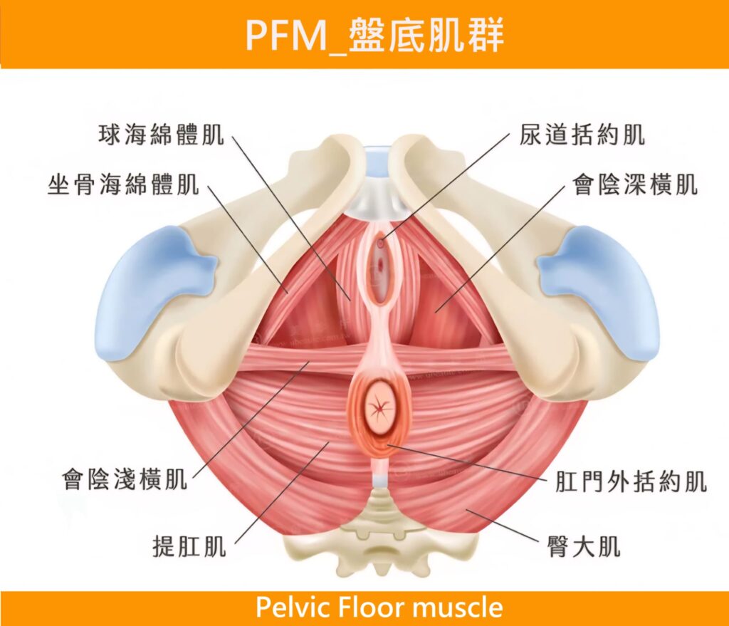 WhatsApp Image 2026 03 18 at 00 16 54